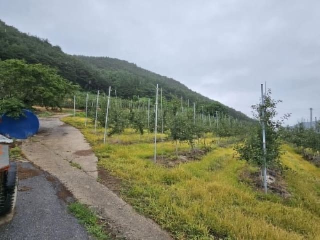 B000311202501301004131.jpg