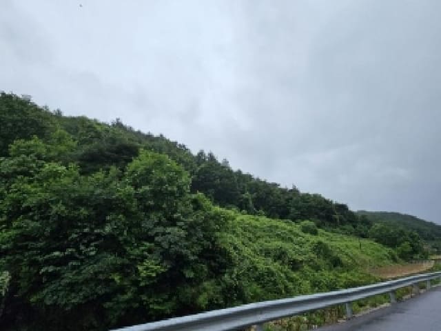 B000311202501301004161.jpg