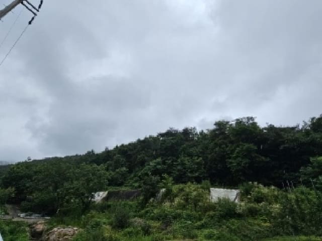 B000311202501301004162.jpg