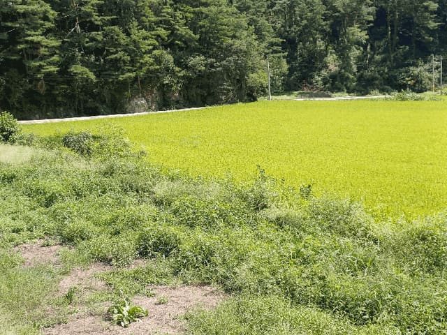 B000311202501301004893.jpg