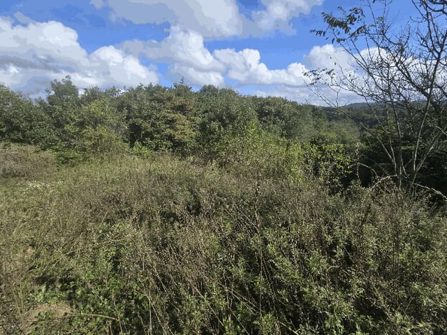 B000311202501301005053.jpg