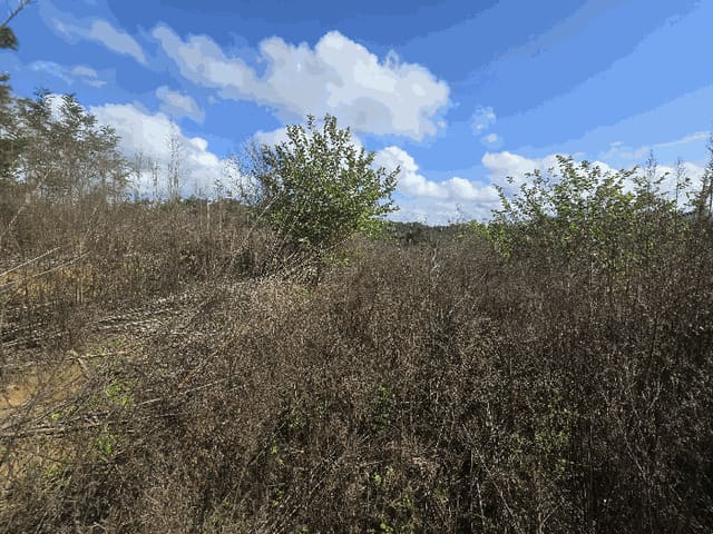 B000311202501301005054.jpg