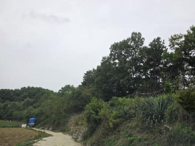 B000311202501301005281.jpg