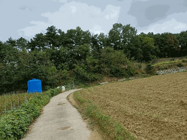 B000311202501301005284.jpg