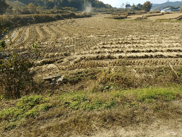 B000311202501301005494.jpg