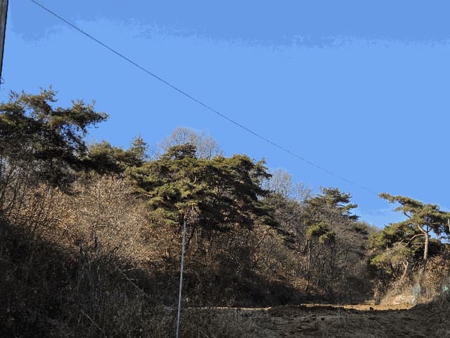 B000311202501301005536.jpg