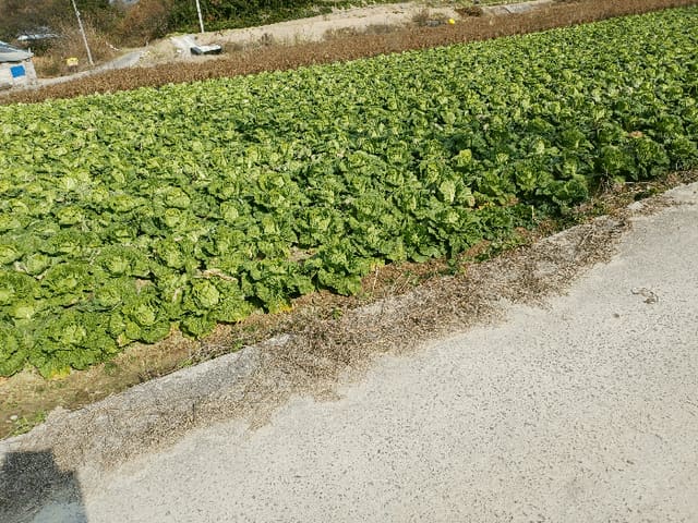 B000311202501301005624.jpg
