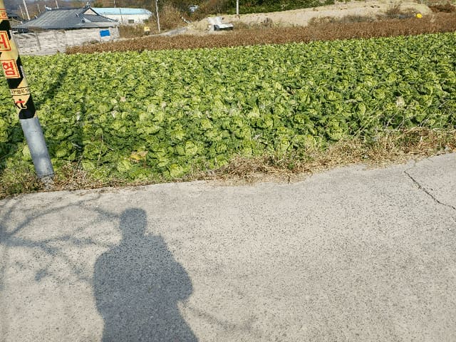 B000311202501301005623.jpg