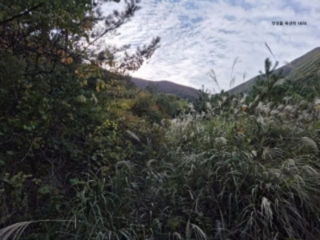 B000312202401300032884.jpg