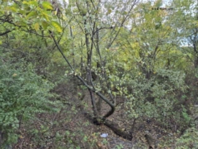 B000312202401300032883.jpg