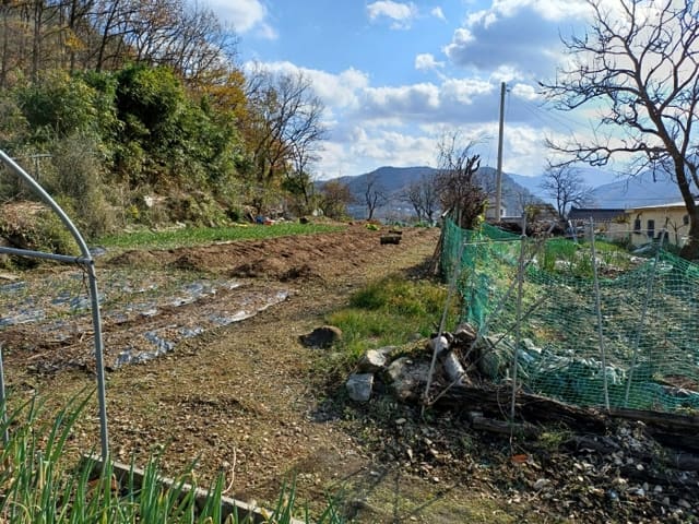 B000312202401300036773.jpg