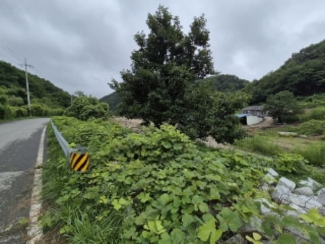 B000312202401300126022.jpg