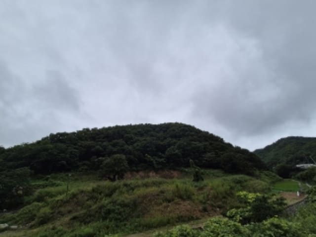 B000312202401300126023.jpg