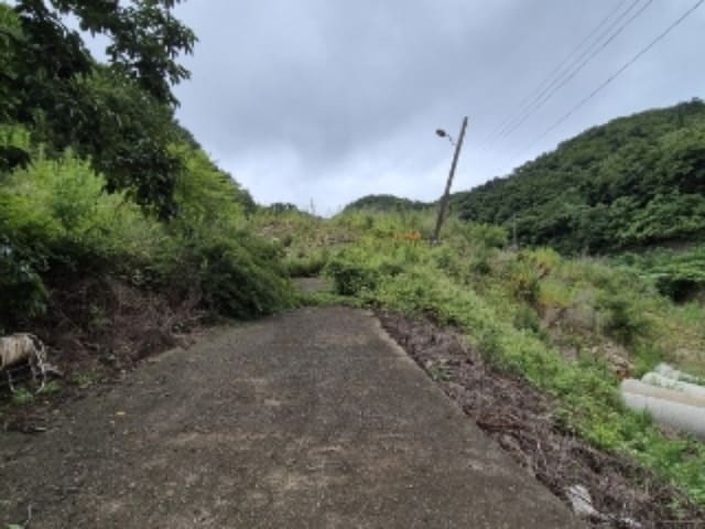 B000312202401300126024.jpg