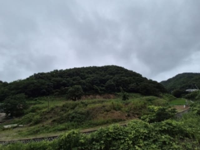 B000312202401300126021.jpg