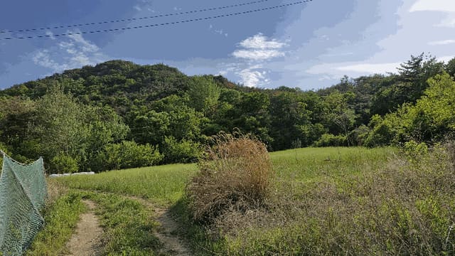 B000312202501300003834.jpg