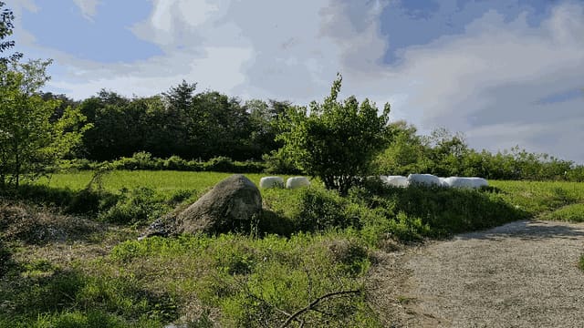 B000312202501300003833.jpg