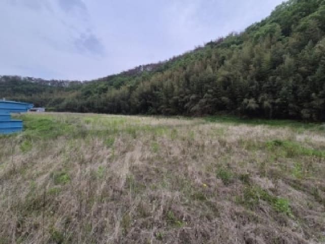 B000312202501300003913.jpg