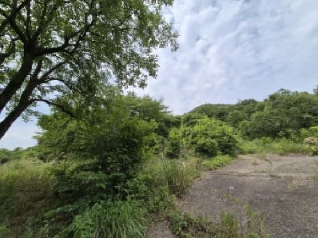 B000312202501300004261.jpg