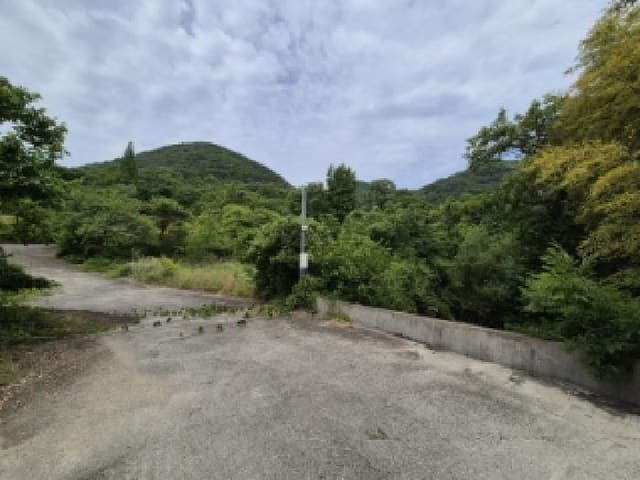 B000312202501300004262.jpg