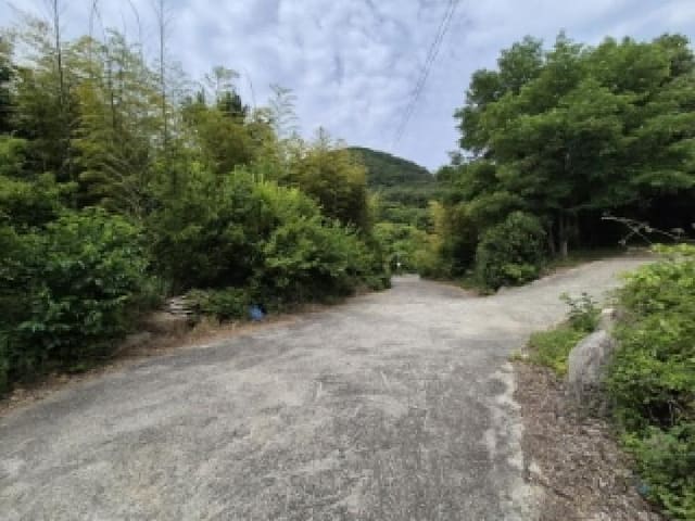 B000312202501300004264.jpg