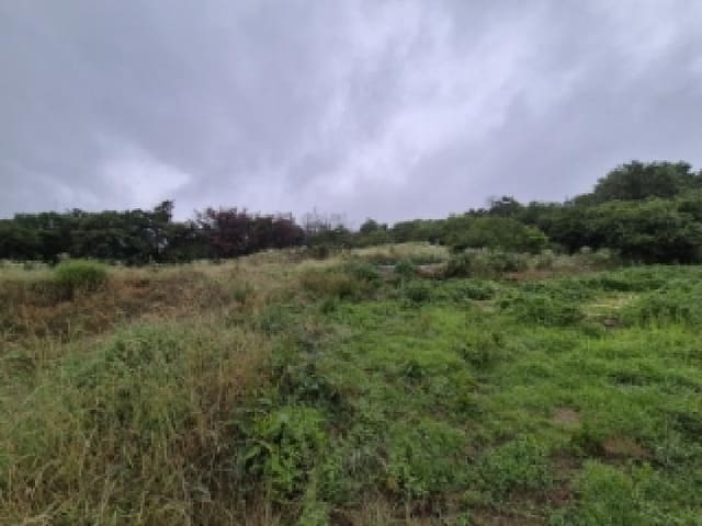 B000312202501300004363.jpg