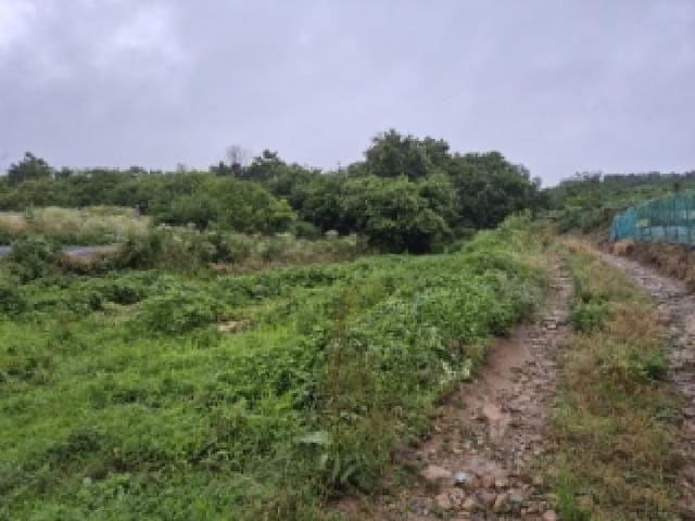 B000312202501300004364.jpg