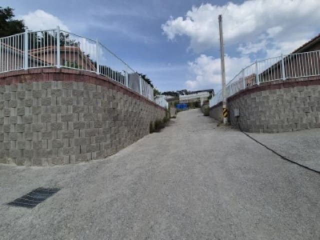 B000312202501300004461.jpg