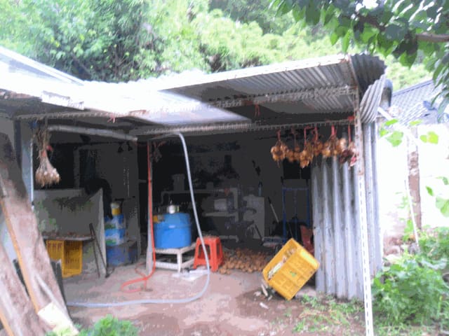 B000312202501300004564.jpg
