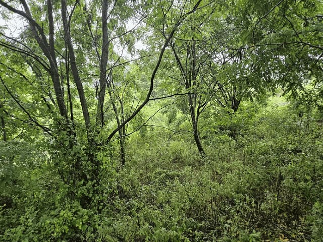 B000312202501300004651.jpg