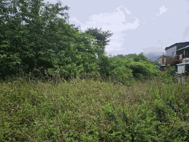 B000312202501300004654.jpg