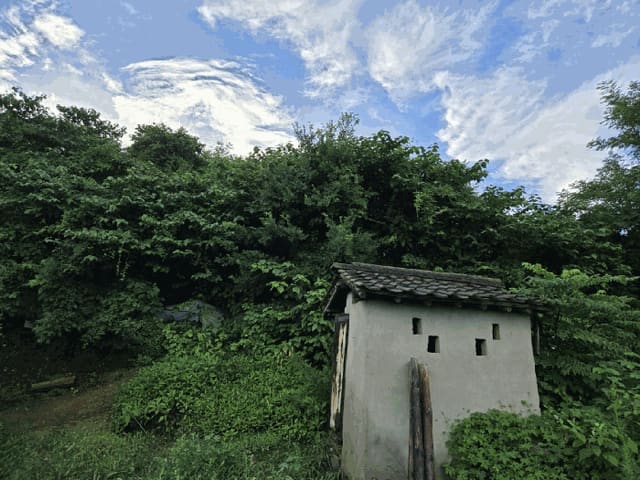 B000312202501300004704.jpg