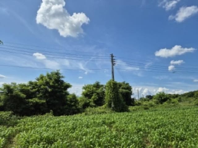 B000312202501300004742.jpg
