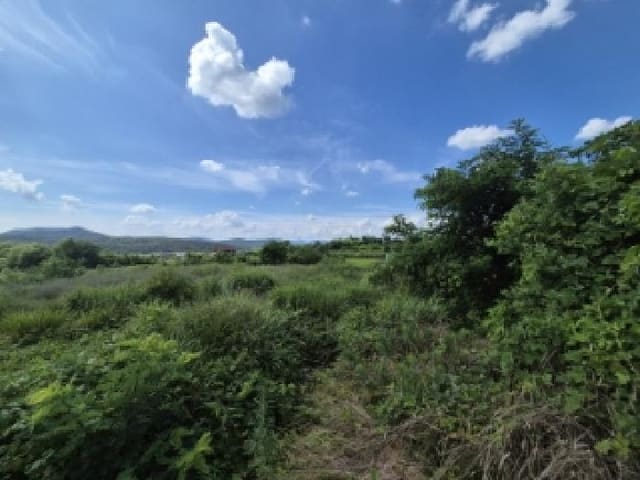 B000312202501300004741.jpg