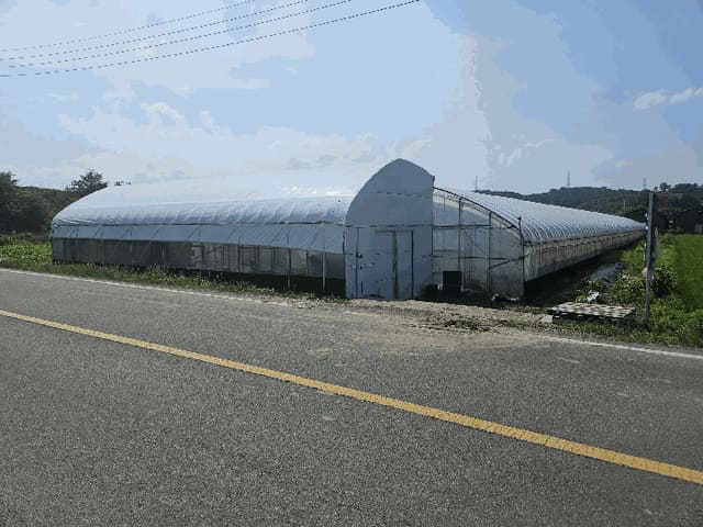 B000312202501300004804.jpg
