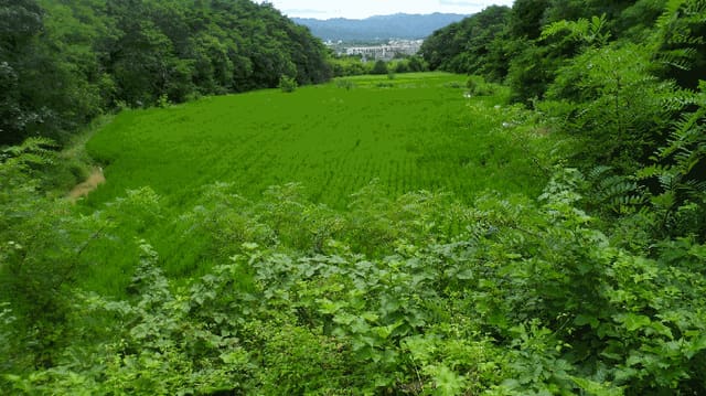 B000312202501300004894.jpg
