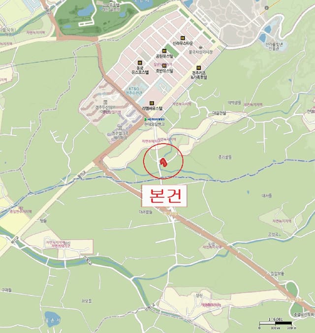 B000312202501300005032.jpg