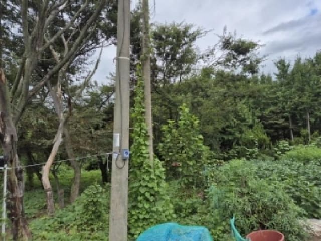 B000312202501300005101.jpg