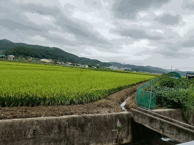 B000312202501300005144.jpg
