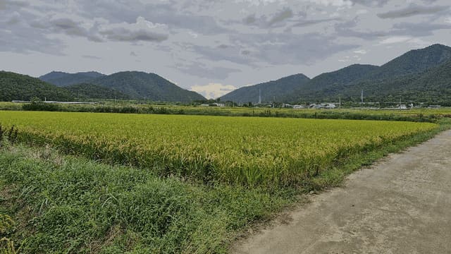 B000312202501300005264.jpg