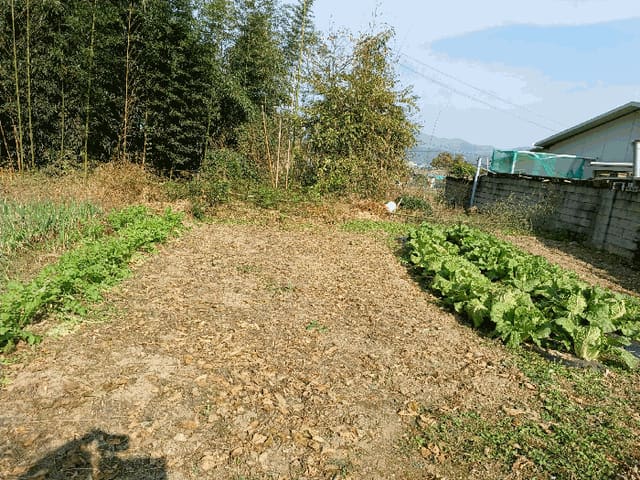 B000312202501300005324.jpg