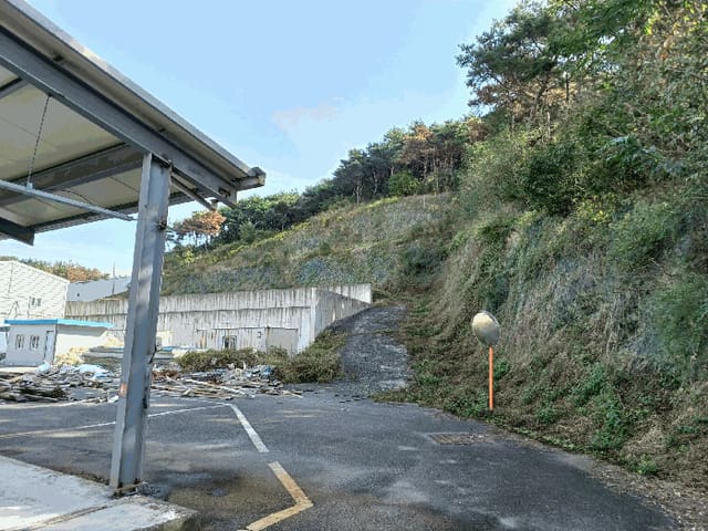 B000312202501300005503.jpg