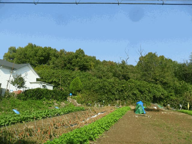 B000312202501300005543.jpg