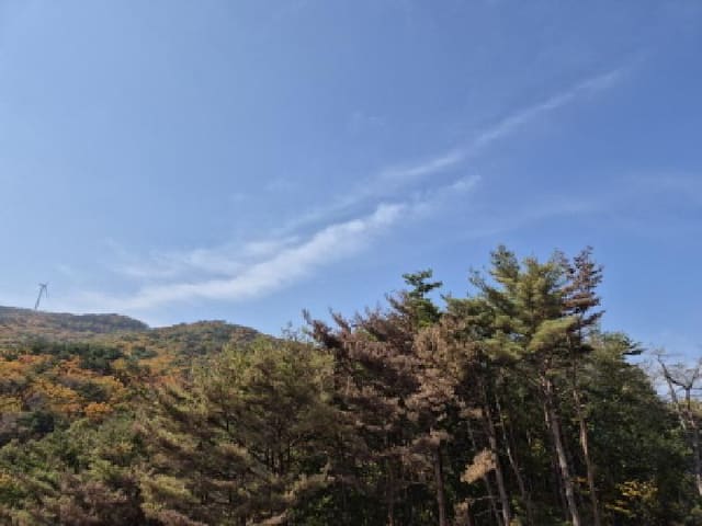 B000312202501300005601.jpg