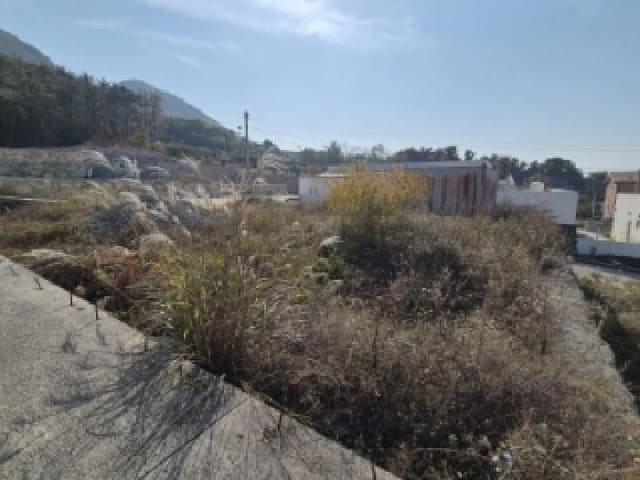 B000312202501300005632.jpg