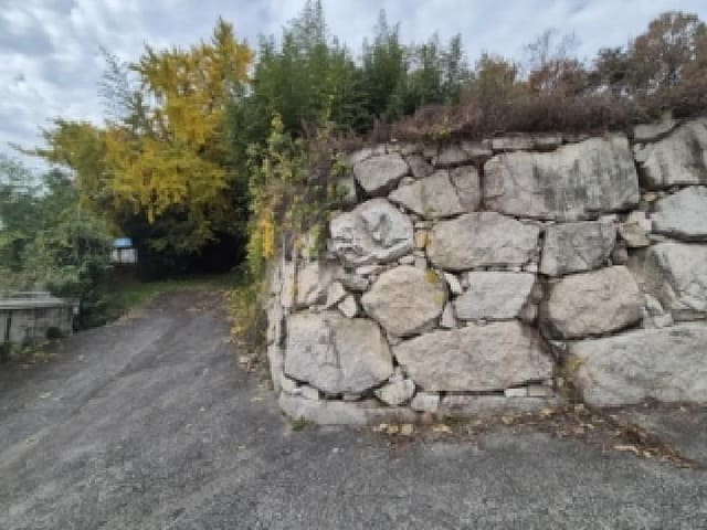 B000312202501300005712.jpg