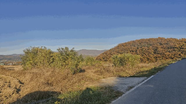 B000312202501300005723.jpg