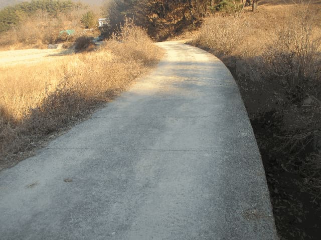 B000312202501300005734.jpg