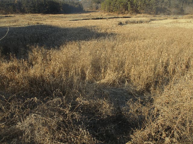 B000312202501300005733.jpg