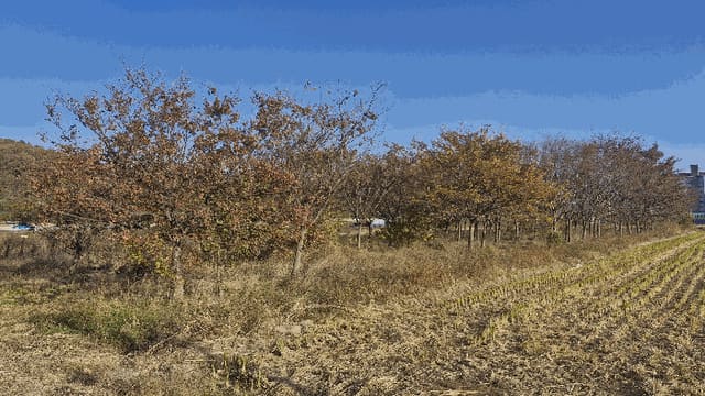 B000312202501300005743.jpg